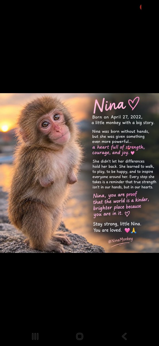 fanona_faroha's tweet photo. @badattrading_ Nina https://t.co/r9adPKbkCJ
