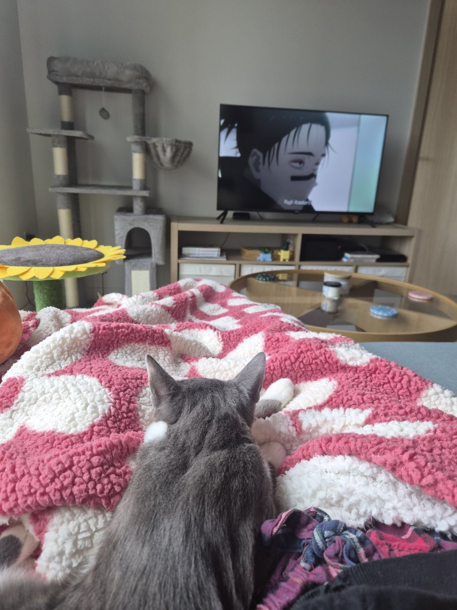 _wildcherry's tweet photo. soup watching jjk with me https://t.co/VJf8wu24az