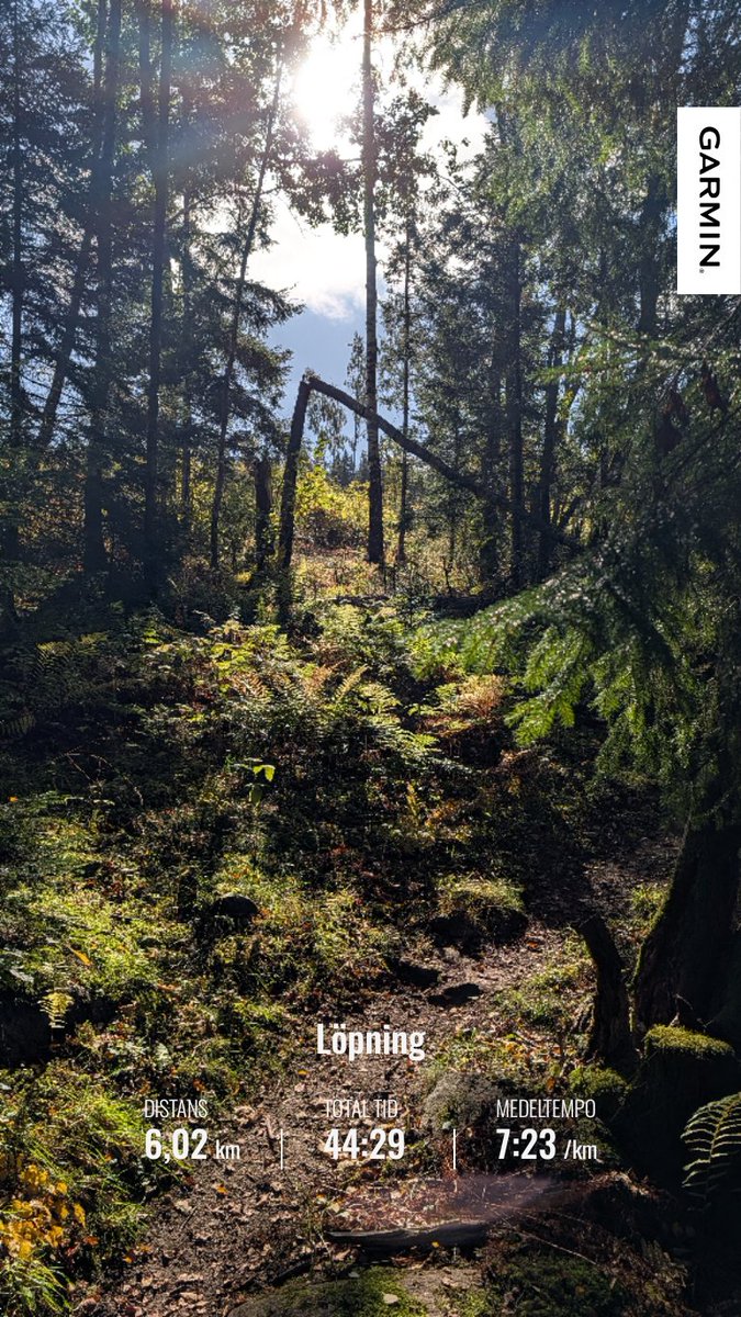 __M___A___X__'s tweet photo. Blev en annorlunda och stilla helg pga anledning. Men är ju #sundayrunday så fick iaf till 6k tidigare under dagen.
#garmin #altrarunning #stayoutthere https://t.co/CeSIi1txaQ