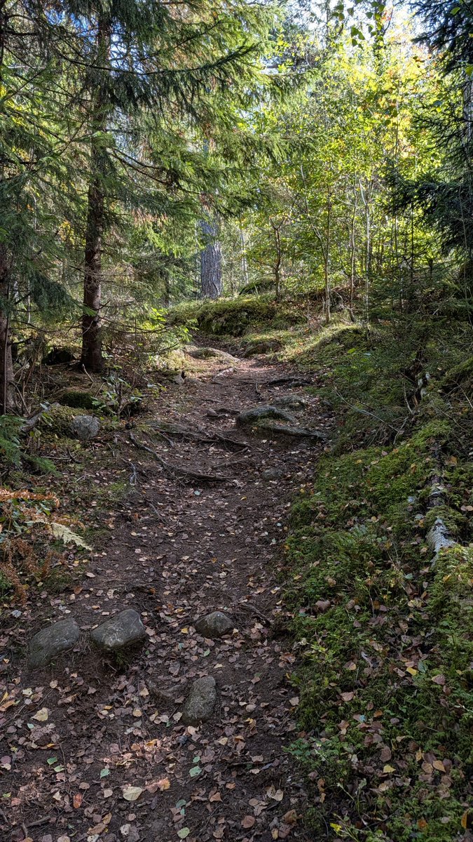 __M___A___X__'s tweet photo. Blev en annorlunda och stilla helg pga anledning. Men är ju #sundayrunday så fick iaf till 6k tidigare under dagen.
#garmin #altrarunning #stayoutthere https://t.co/CeSIi1txaQ