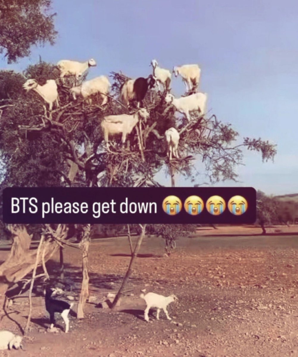 btswantsbts's tweet photo. https://t.co/BWcqYOyn0y