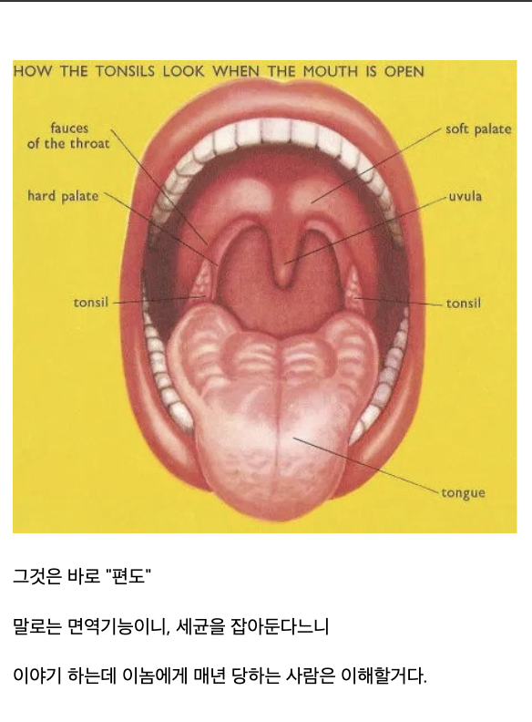 laterinfo_'s tweet photo. 이 정신나간놈 좀만 피곤하면 지맘대로 부어서 물도 못넘기게함 https://t.co/n5IuWhdyIg
