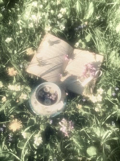 aestheticpost's tweet photo. https://t.co/8QIlhVQU3h