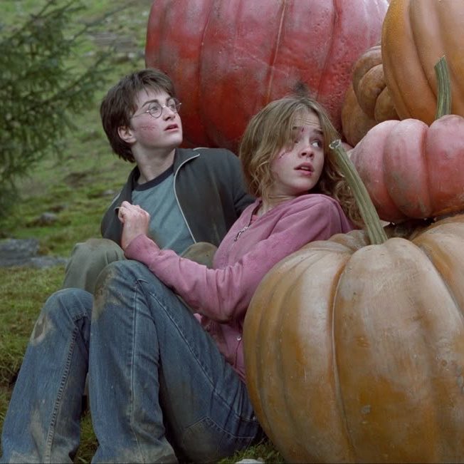 dreamythngs's tweet photo. magical world of Hogwarts https://t.co/DBGWwTS68Z