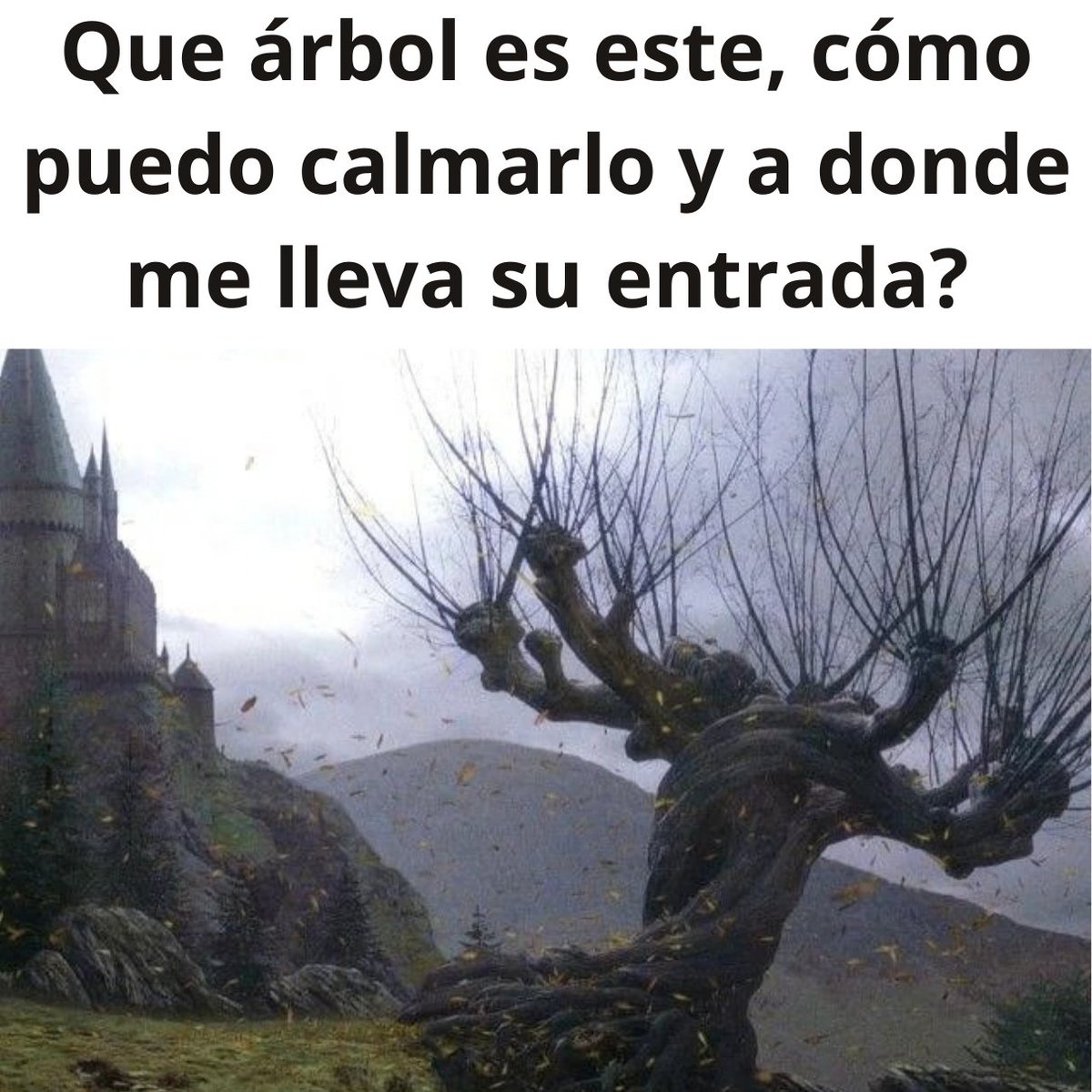 alwaysfandomofi's tweet photo. Lo sabes? https://t.co/j5Pi5TQMLS