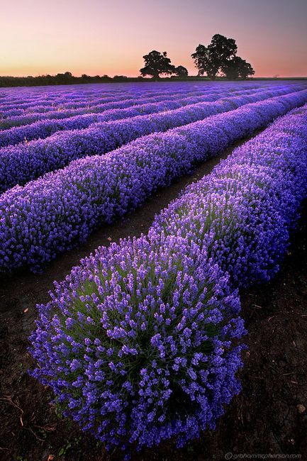 aestheticpost's tweet photo. https://t.co/KszKjbbDiO