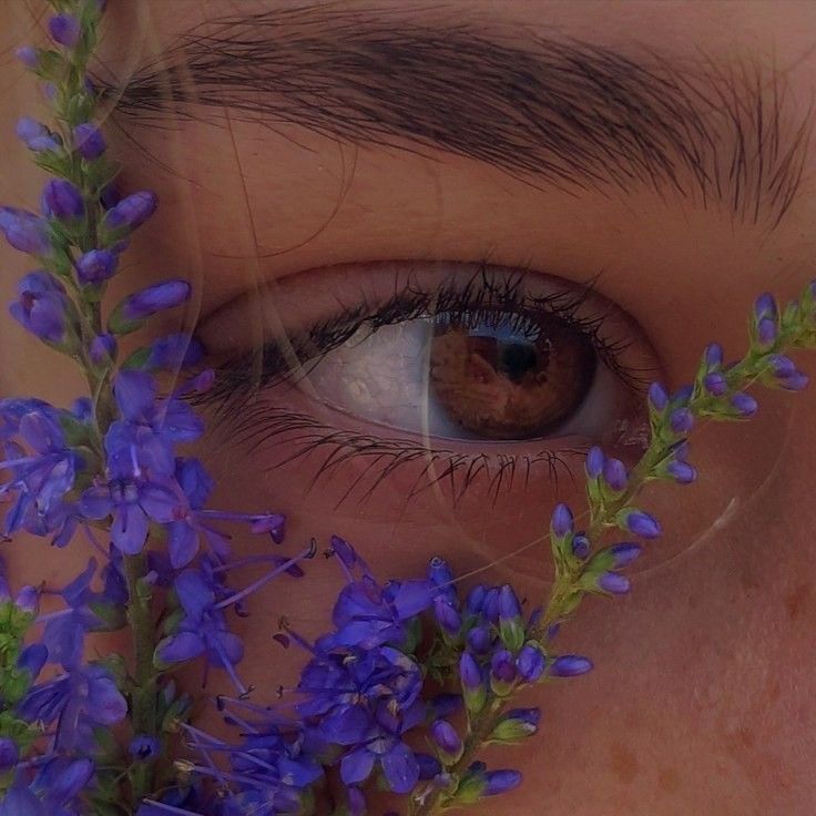 aestheticpost's tweet photo. https://t.co/KszKjbbDiO