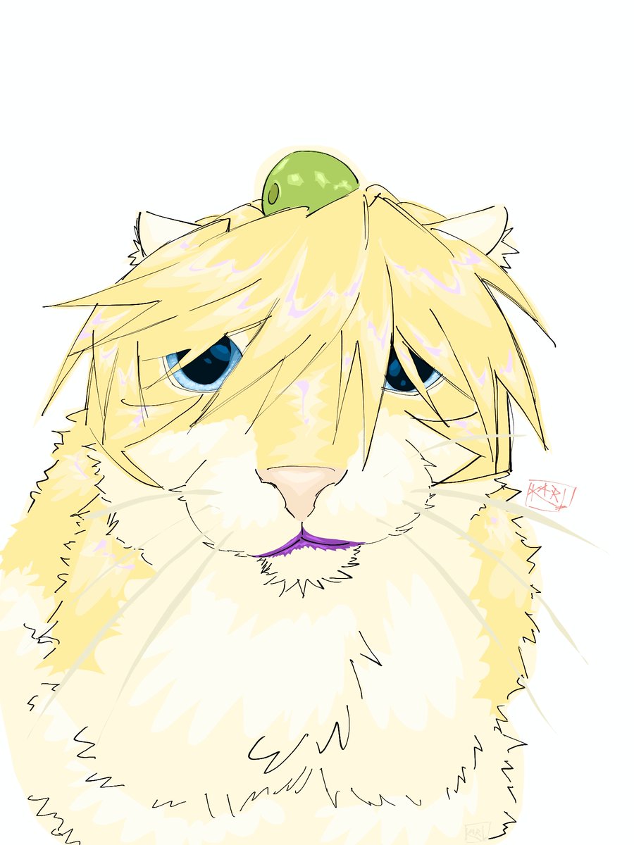 Kar_Artits's tweet photo. Cat Killer
#dibujo #dibujodigital #killerop #ONEPIECE〜 https://t.co/ERuHB0Wjql