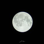 Photo by ✵ (@stjaernlis)