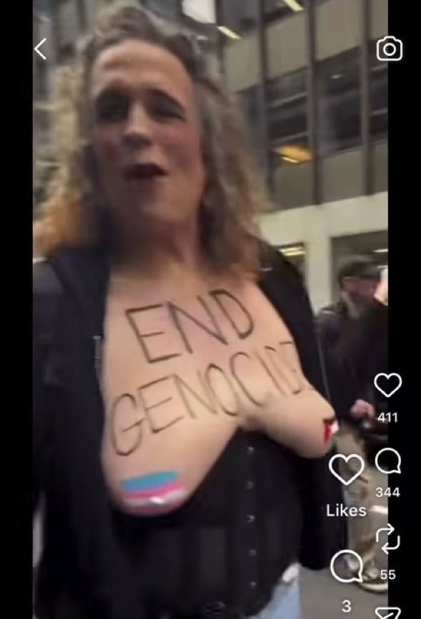 BriannaWu's tweet photo. Pro Israel Trans Woman 
Versus 
Free Palestine Trans woman https://t.co/HKWVOic4C1