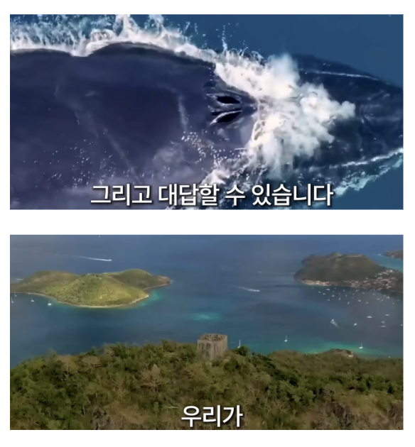 laterinfo_'s tweet photo. 사실 인간 빼고 동물끼리는 다 이야기 할 줄 아는데 우리가 왕따 당하고 있는게 아닐까? https://t.co/IY9Ankuqet
