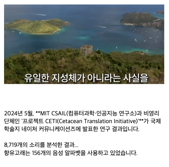 laterinfo_'s tweet photo. 사실 인간 빼고 동물끼리는 다 이야기 할 줄 아는데 우리가 왕따 당하고 있는게 아닐까? https://t.co/IY9Ankuqet