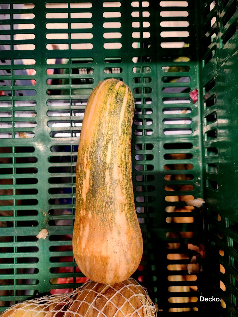 Frankzm's tweet photo. Después de lo que se vio con el video de D1, a uno hasta le da miedo comprar cualquier cosa… ¿y si terminó siendo usado en algún juego sexual? 😳😂 https://t.co/pAyChp84kj