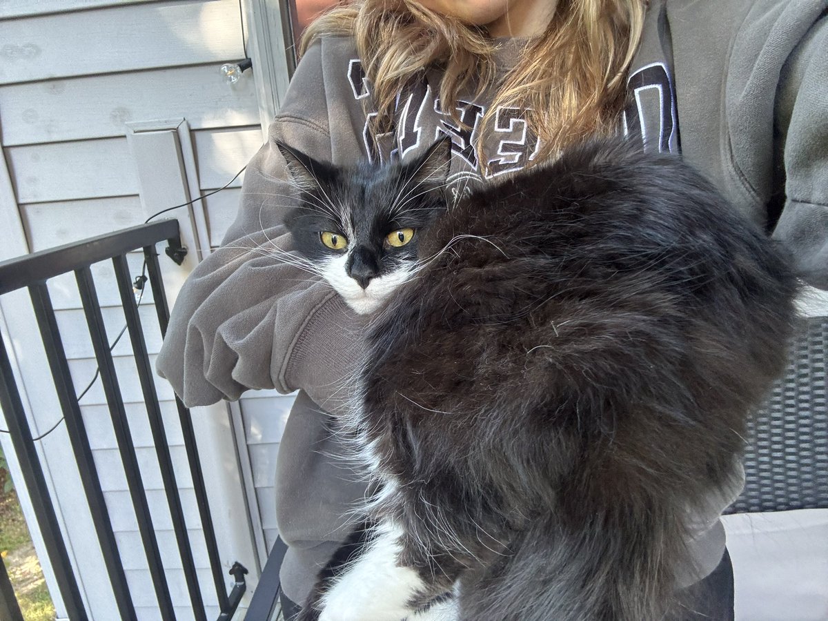gf2hozier's tweet photo. my baby only gets sweeter as time goes on :( https://t.co/cTDz8T1WBe