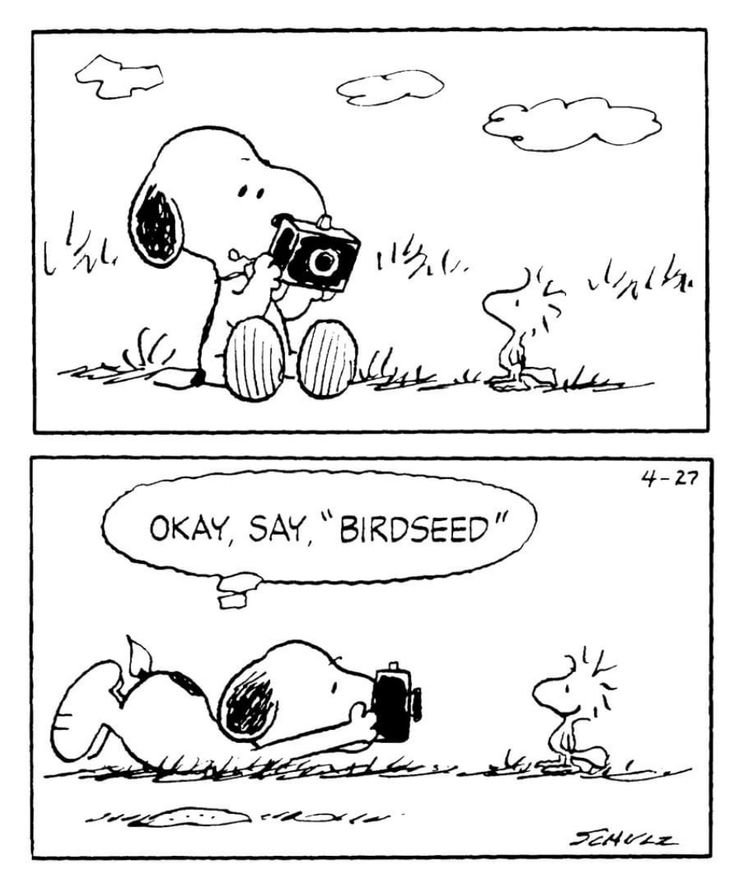 snoopy_world1's tweet photo. https://t.co/ivPdgCwcOY