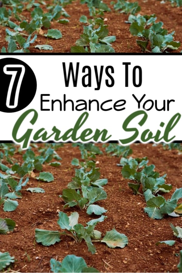 Dian_Farmer_'s tweet photo. 7 Tips To Improve Garden Soil
https://t.co/s6pa1mCVut
#gardenlife #backyardgardening #kitchengarden #zone https://t.co/pvFd29dDsB