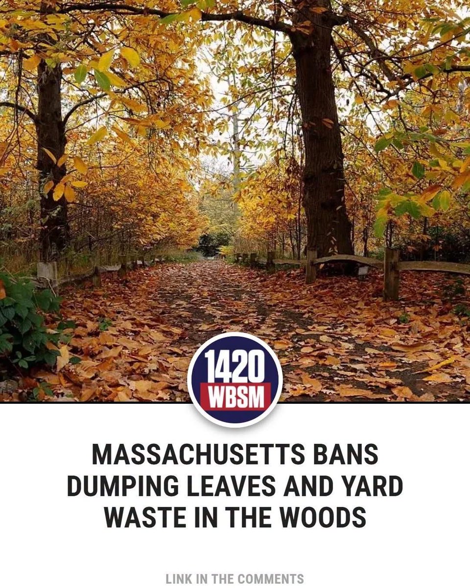 PJPfreedom's tweet photo. Can you believe this shit?! The People’s Republic of Massachusetts! 

“Something to keep in mind as you are cleaning up after this weekend's nor'easter: Massachusetts has rules about where yard waste can go, and some common disposal spots are off-limits. How do you usually handle the leaves in your yard?”
