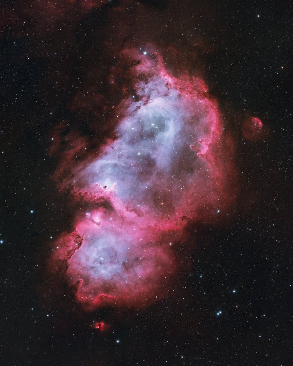 AstroBackyard's tweet photo. The Soul Nebula 📷

Here's my latest picture of the spectacular 'Soul Nebula' in the constellation Cassiopeia.

This dynamic emission nebula is the Heart Nebula's nearest neighbor (it's just out of frame)

Next month, Cassiopeia rises high into the sky and is easily recognizable by its distinct 'W' star pattern.

You'll find the Soul Nebula bordering the constellation Perseus, very close to the iconic double star cluster in that region.

It's one of the best astrophotography targets in the entire sky, and October is a great month to capture it!
Photo Details:

336 x 5 minutes (28 hours total exposure) 🫠
Captured over 8 nights

Stacked in PI, Processed in PS and PI

Camera: https://t.co/A3nQv0S9Iu
Telescope: https://t.co/LdNHsHt90O
Filter https://t.co/eNql8HU6xI