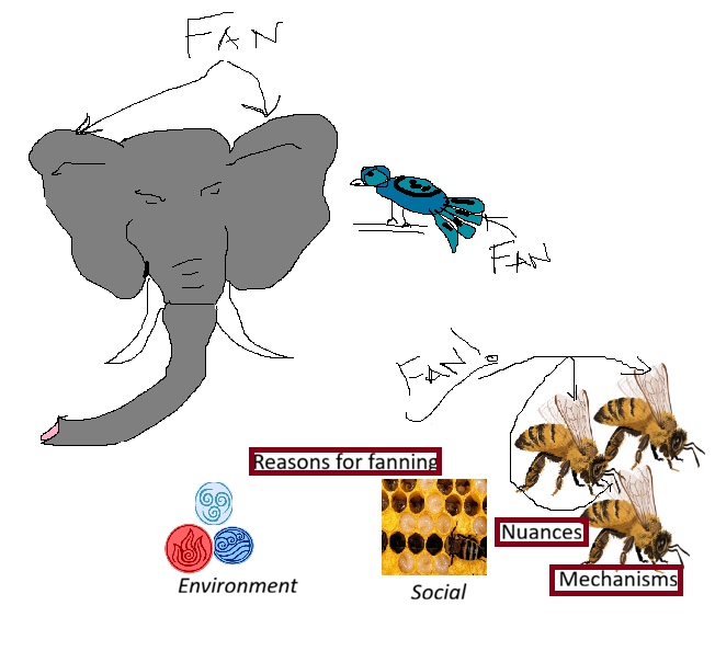 Ants_ee_thesis's tweet photo. Join the ‘Fan’dom: My initiation into Postdoc &amp; into the world of flying social insects was @MarquetteU 's Cook lab. This review in @InsSociaux -summarizes what we know and all that we don't about wing-fanning in social insects https://t.co/DxYZlT6Vvh