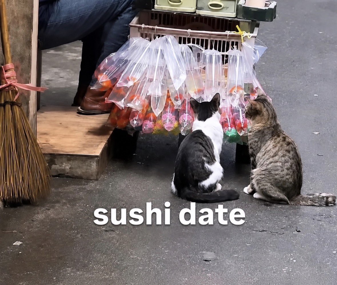 RespectfulMemes's tweet photo. https://t.co/3to7iULtKU