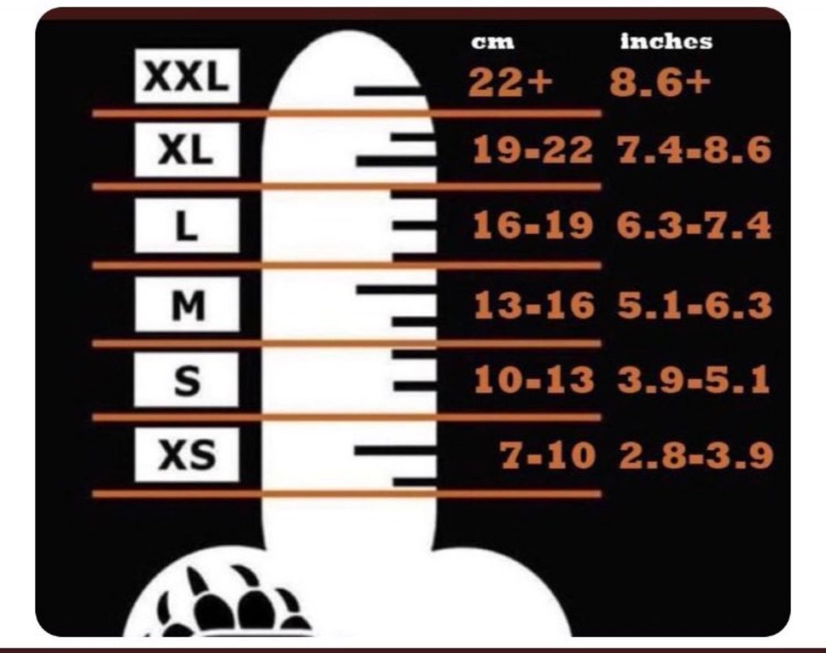 SmallGuySV's tweet photo. #SPH #SizeMatters #CockCompare

I am firmly in the XS category. How about you? https://t.co/NuRr7EeJ1Q
