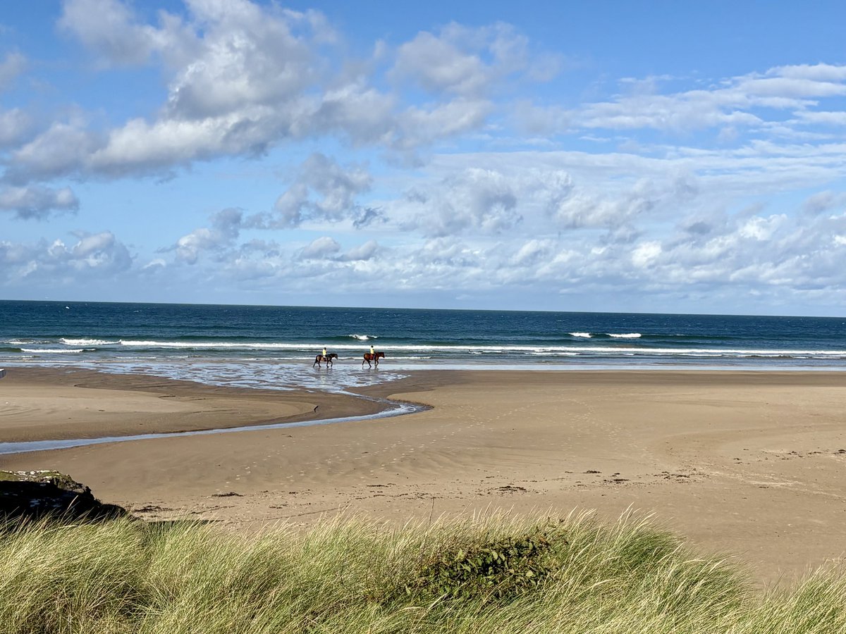 EllieKa66133452's tweet photo. What a day! Last days of September https://t.co/C0l1Xh0LfY
