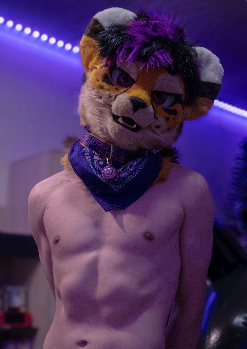 Richie_Paws's tweet photo. MOW MOW MOW 💜 
Wild, but well-mannered 🐆
#gymfur https://t.co/GgcTCOCwGj