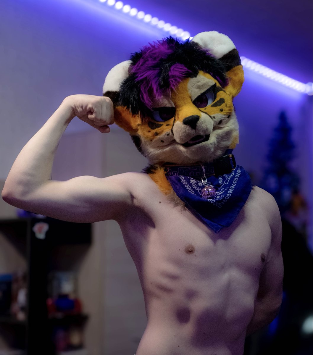 Richie_Paws's tweet photo. MOW MOW MOW 💜 
Wild, but well-mannered 🐆
#gymfur https://t.co/GgcTCOCwGj