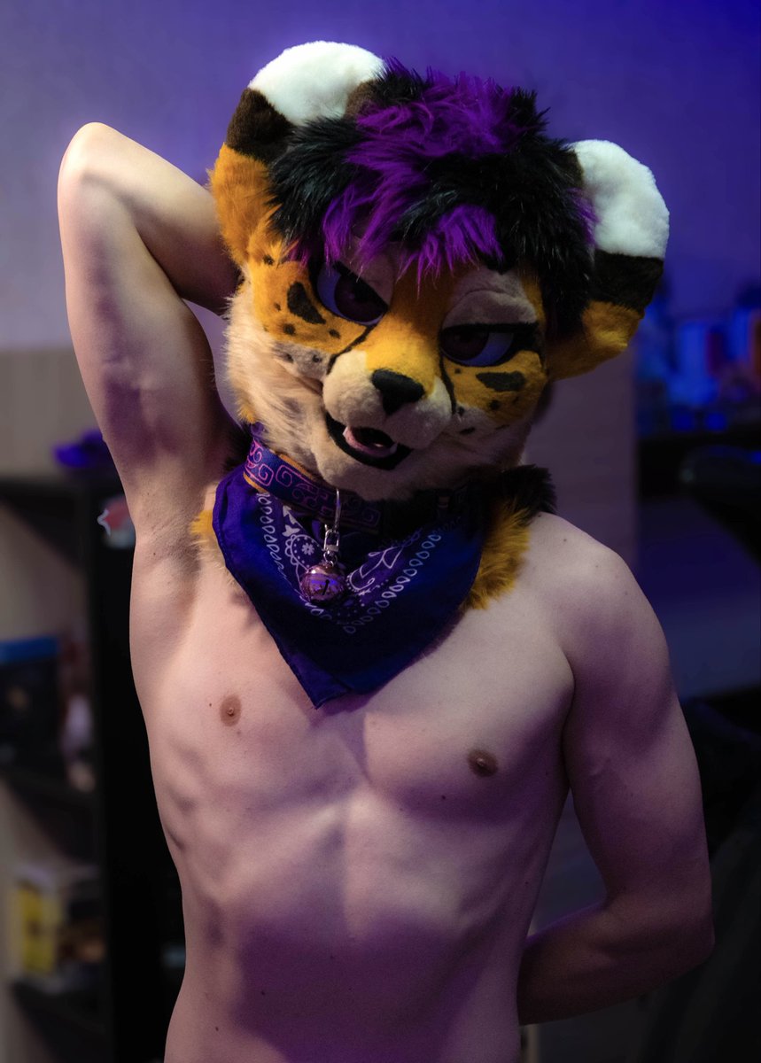 Richie_Paws's tweet photo. MOW MOW MOW 💜 
Wild, but well-mannered 🐆
#gymfur https://t.co/GgcTCOCwGj