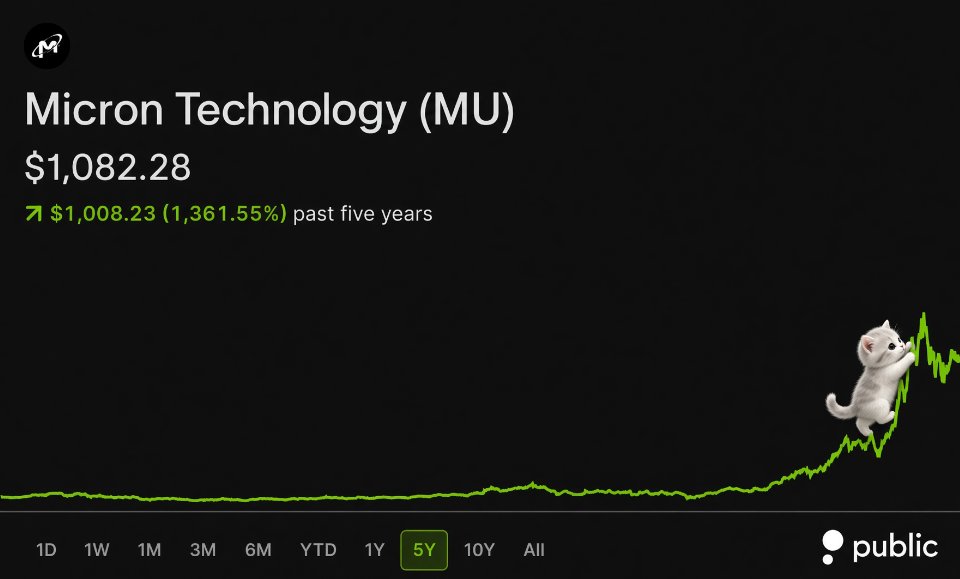 micat_mu's tweet photo. he’s been climbing $MU for 5 years and still hasn’t come down. 

be as micro cat with big dreams. https://t.co/6tyVIRn54Y