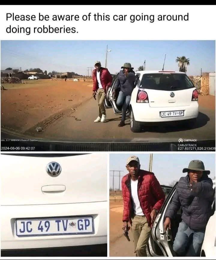 Koena_za's tweet photo. Let’s make them famous. https://t.co/y0OZXFRwHq