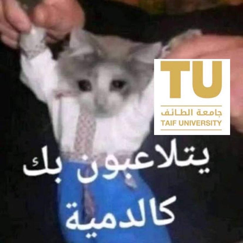 vriilj's tweet photo. https://t.co/mOcL8TFkMu