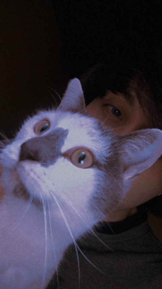 LKT_seik's tweet photo. Me (my cat) and the 9 games that shaped who I am! https://t.co/SllJjSLCEl