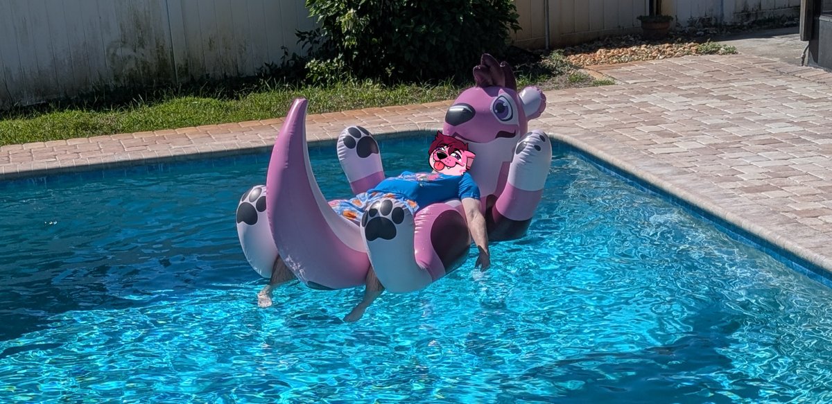 Roo3k's tweet photo. Guava is still available for preorder but you only have a couple weeks left ( he is super comfy ) https://t.co/GiTa74MB19 https://t.co/VoGBYRdMhl