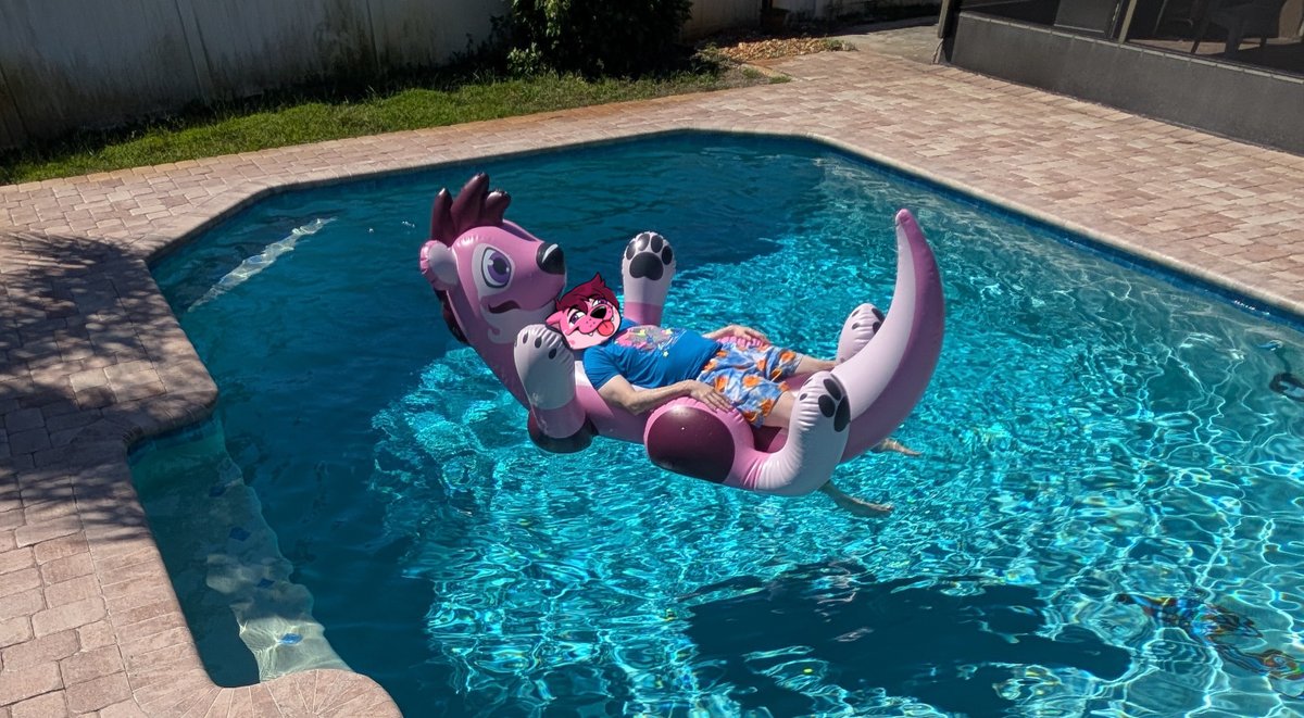 Roo3k's tweet photo. Guava is still available for preorder but you only have a couple weeks left ( he is super comfy ) https://t.co/GiTa74MB19 https://t.co/VoGBYRdMhl