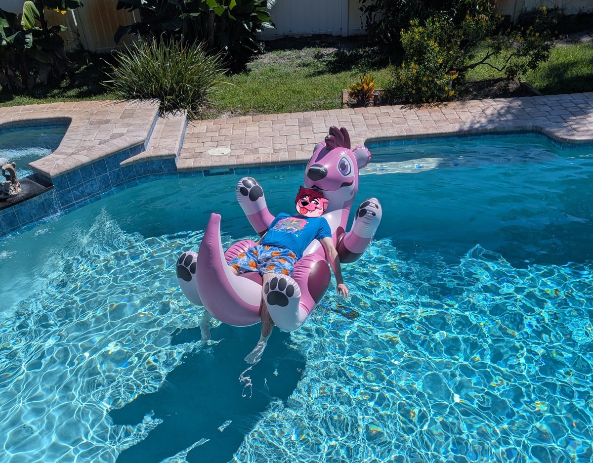 Roo3k's tweet photo. Guava is still available for preorder but you only have a couple weeks left ( he is super comfy ) https://t.co/GiTa74MB19 https://t.co/VoGBYRdMhl