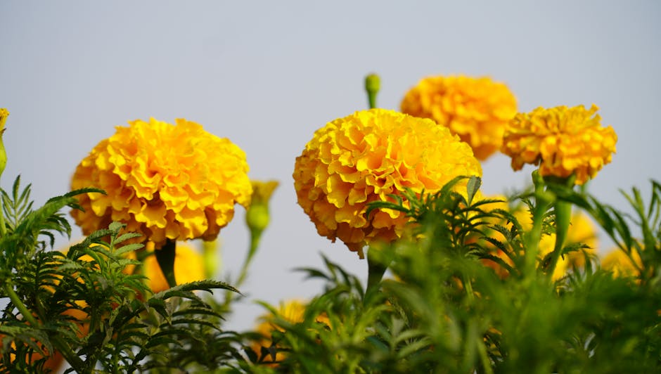 HarperEvanvdvl's tweet photo. أن يكون لديك مستقبل مشرق أتمنى أتمنى أن وناجح. تتحقق أهدافك. jeffie hemauer‼️ https://t.co/hTGJa3XdZT
