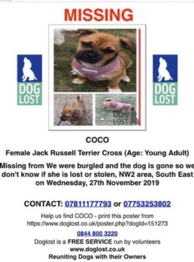 LisaClareRead2's tweet photo. Please RT #stolendoghour
Sadly Coco is still missing. She was stolen in a burglary on 27th November 2019 ππ’from the NW2 area, Gladstone Park #London #SouthEast
Sheβs not been seen since. Have you seen her? Please help get her home where she belongs.
β¬οΈ
https://t.co/rJtW9wKagu https://t.co/fB0DHmJtby