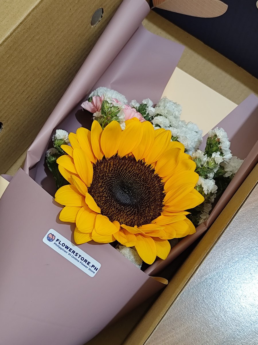 dovevamccrain's tweet photo. A new season begins. +1 💗 https://t.co/R21BFlcMey
