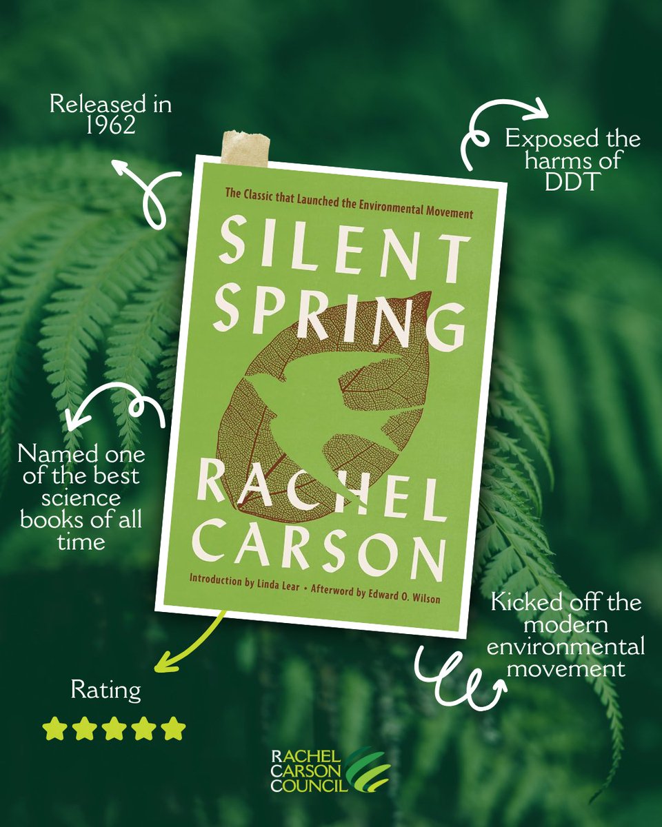 RachelCarsonDC's tweet photo. Today marks 64 years since the publication of Silent Spring, Rachel Carson’s groundbreaking book that sparked the modern environmental movement in the US.

Pick up a copy and discover the words that helped launch a movement. https://t.co/hJHJyoqpFh