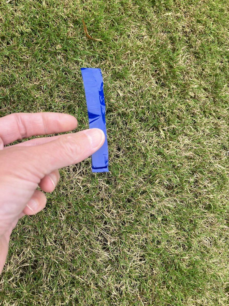 _pickuplitter's tweet photo. @_pickuplitter on duty ✅
Saw, picked, binned. The last four day’s picks: it makes a difference. @KSBScotland #WashYourHands @CleanUpScotland @ZeroWasteScot @PlasticPollutes @Plasticsimpact https://t.co/nYz21Ti8mq
