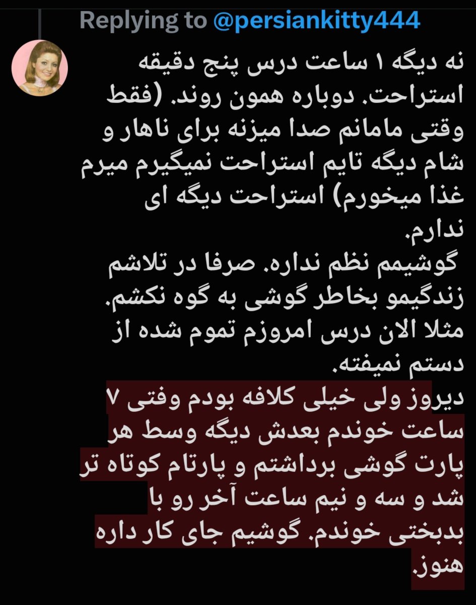 meliuyat's tweet photo. @persiankitty444 https://t.co/YVnnh47BZA