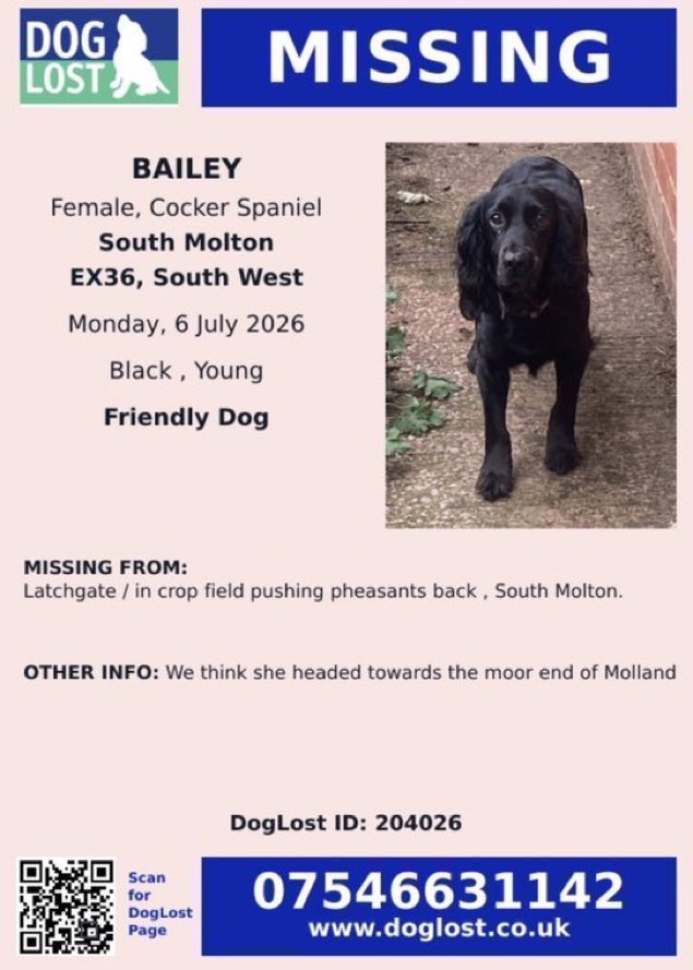 LisaClareRead2's tweet photo. Bailey has been missing since 6th July 2026 from Latchgate, near South Molton, #Devon #EX36
She’s a female #CockerSpaniel, have you seen her 👀
Please help get her back home where she belongs.
Thank you 🙏💕🐾
#SouthWest #UK
https://t.co/YExflPvhwf
#rehomehour #stolendoghour https://t.co/s4rIgUktrx