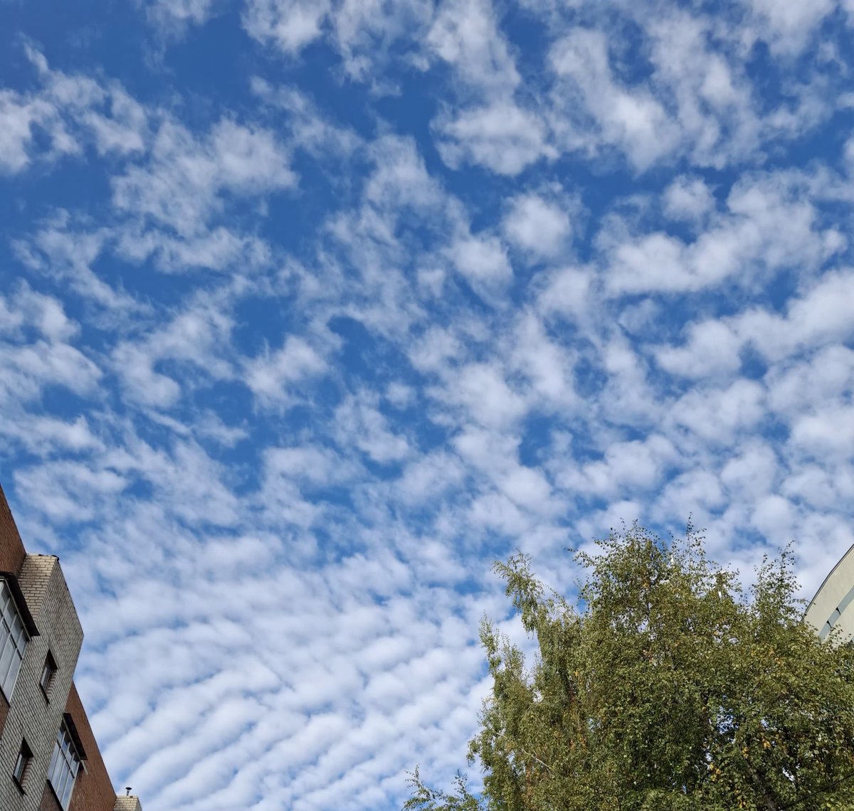 alia1o0's tweet photo. i decided to get a bit nostalgic and scroll through my account, and I noticed that I used to post photos of the sky before UNIS debuted and today, the sky looked just like the one from back then
such a coincidence🥹🥹 https://t.co/dV3hebwqVH