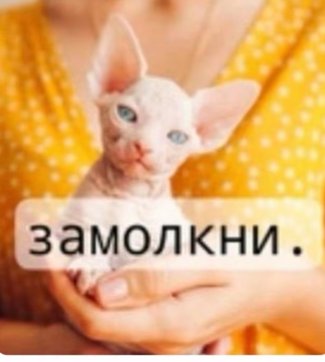 raintwd9's tweet photo. опять понедельник https://t.co/MUBKzKHPGv