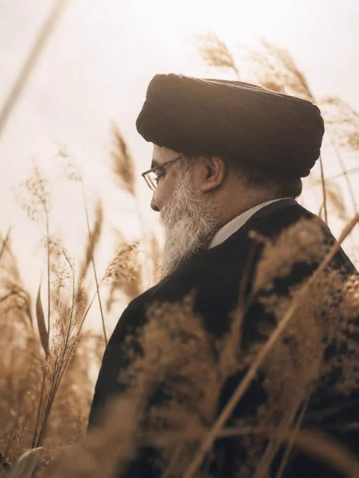 goldtime1438637's tweet photo. ۸۵ تن بمب برای شهادت تو استفاده کردن چون تو «کوه »بودی.

#سید_مقاومت https://t.co/8Nvs7J7wUi