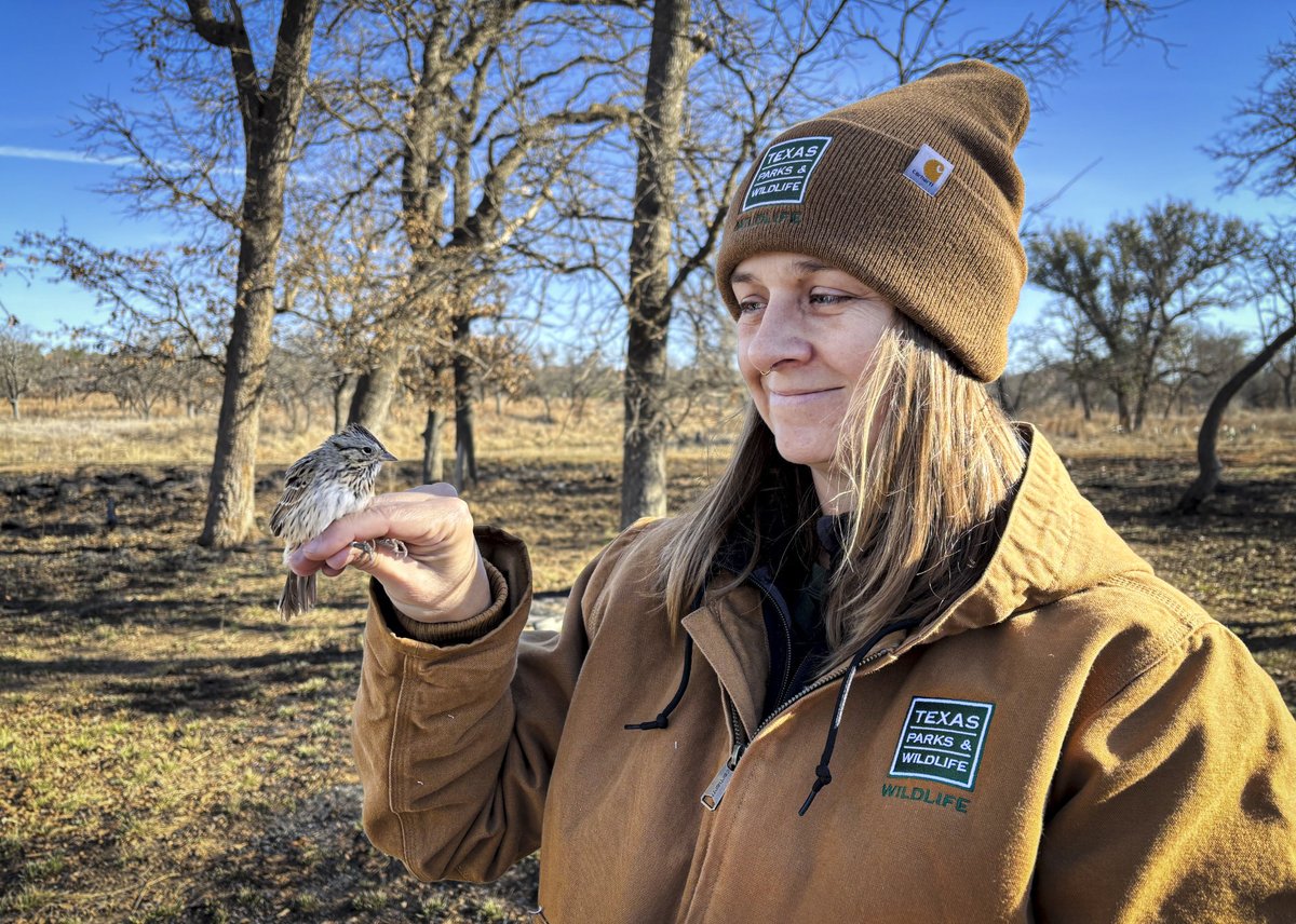UNTsocial's tweet photo. @UNTScience alumnus Tessa Boucher (’20, ’23 M.S.) has come a long way from observing insects in rural Louisiana – turning that curiosity into an impactful career as an ecological scientist working with both animals and humans alike.

Read more of Tessa’s story here: https://t.co/j471Uz8ict