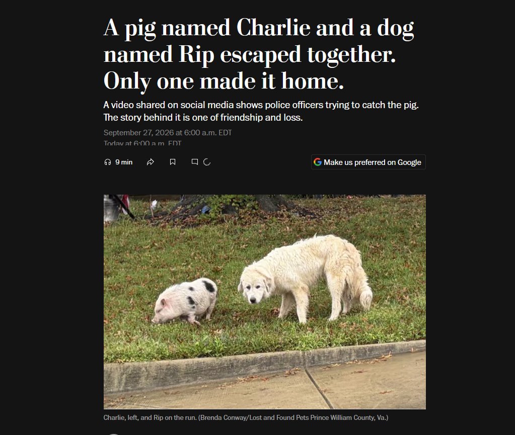 Viruscoinpf's tweet photo. Punch narra going GIGA viral WSP just posted about them 3 hrs ago

Washington post just posted a fucking heart breaking article about a unique friendship of a pig and dog,

They BOTH got in a car crash and Rip the dog was killed and Charlie could only make it home

https://t.co/SG4QFKIqVJ