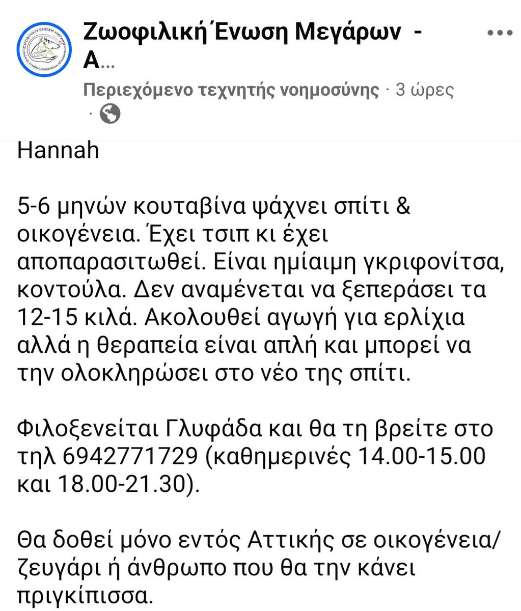 KatKatPt's tweet photo. 🆘️🆘️🆘️
Hannah
5-6 μηνών ημιαιμη γκριφονιτσα ψάχνει σπίτι κ οικογένεια
12-15 κιλά
Αποπαρασιτωμενη με τσιπ,ακολουθεί αγωγή για ερλιχια αλλά η θεραπεία είναι απλή κ μπορεί να την ολοκληρώσει στο νέο της σπίτι
Για περισσότερες πληροφορίες επικοινωνία με το τηλ
Rt 🙏 🙏 🙏 https://t.co/yeGxzlg8UU