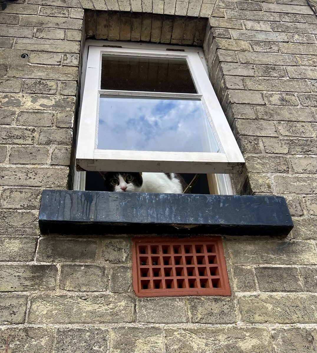 nobolly's tweet photo. Our home security is on duty https://t.co/Y6Am8LY6zU